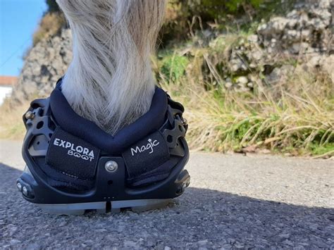 Explora Magic Hoof Boots: Combining Style and Functionality for Your Horse